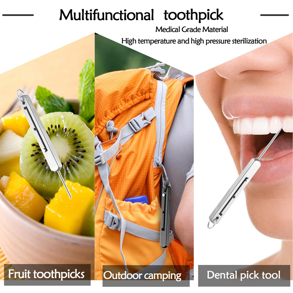 Portable Titanium Toothpicks Pocket Toothpick
